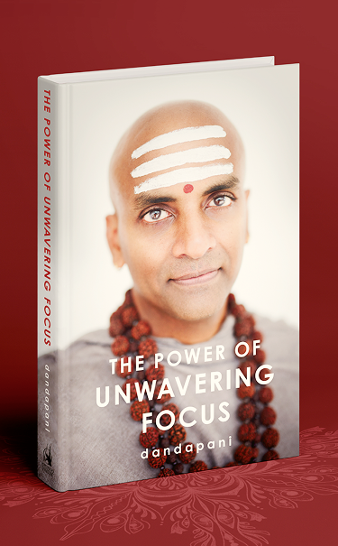 Cover of the Dandapani's book